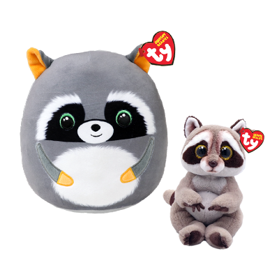Raccoon Fun Bundle